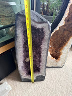 Ascendancy Gems large amethyst geode crystal formation with deep purple crystals and rough exterior. A measuring tape shows its height.